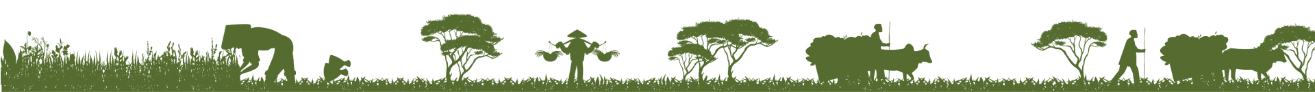 footer-img